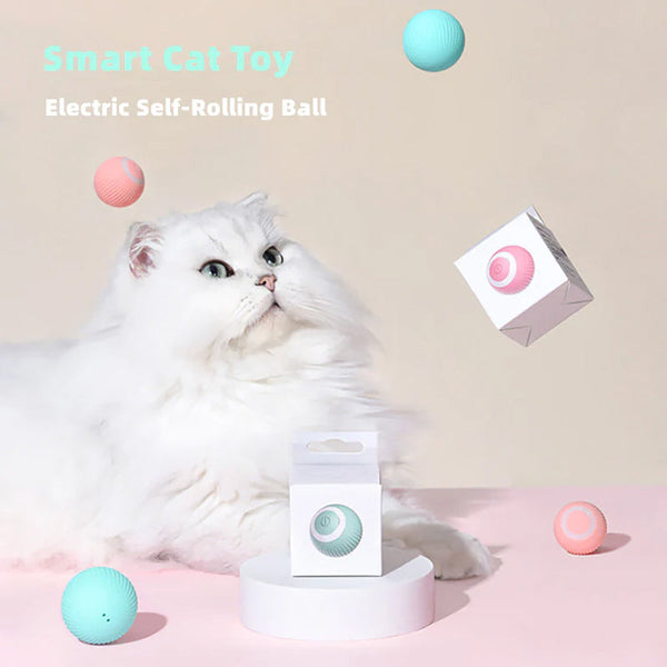 Activate Your Cat's Natural Instincts! | 50% DISCOUNT