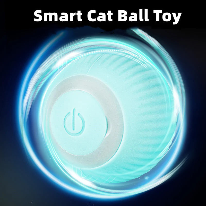 Activate Your Cat's Natural Instincts! | 50% DISCOUNT