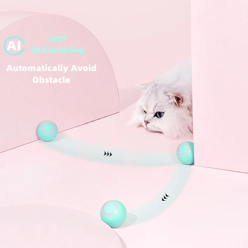 Activate Your Cat's Natural Instincts! | 50% DISCOUNT