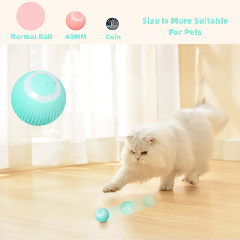 Activate Your Cat's Natural Instincts! | 50% DISCOUNT