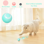 Activate Your Cat's Natural Instincts! | 50% DISCOUNT