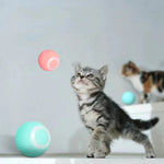 Activate Your Cat's Natural Instincts! | 50% DISCOUNT