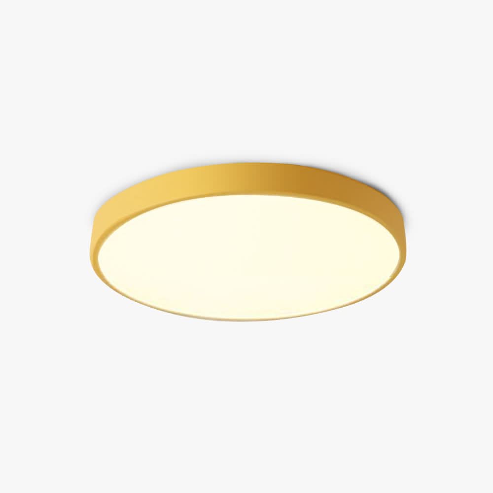Round LED Ceiling Light for Stylish Spaces