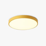 Round LED Ceiling Light for Stylish Spaces