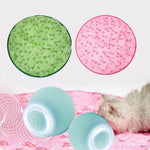 Activate Your Cat's Natural Instincts! | 50% DISCOUNT