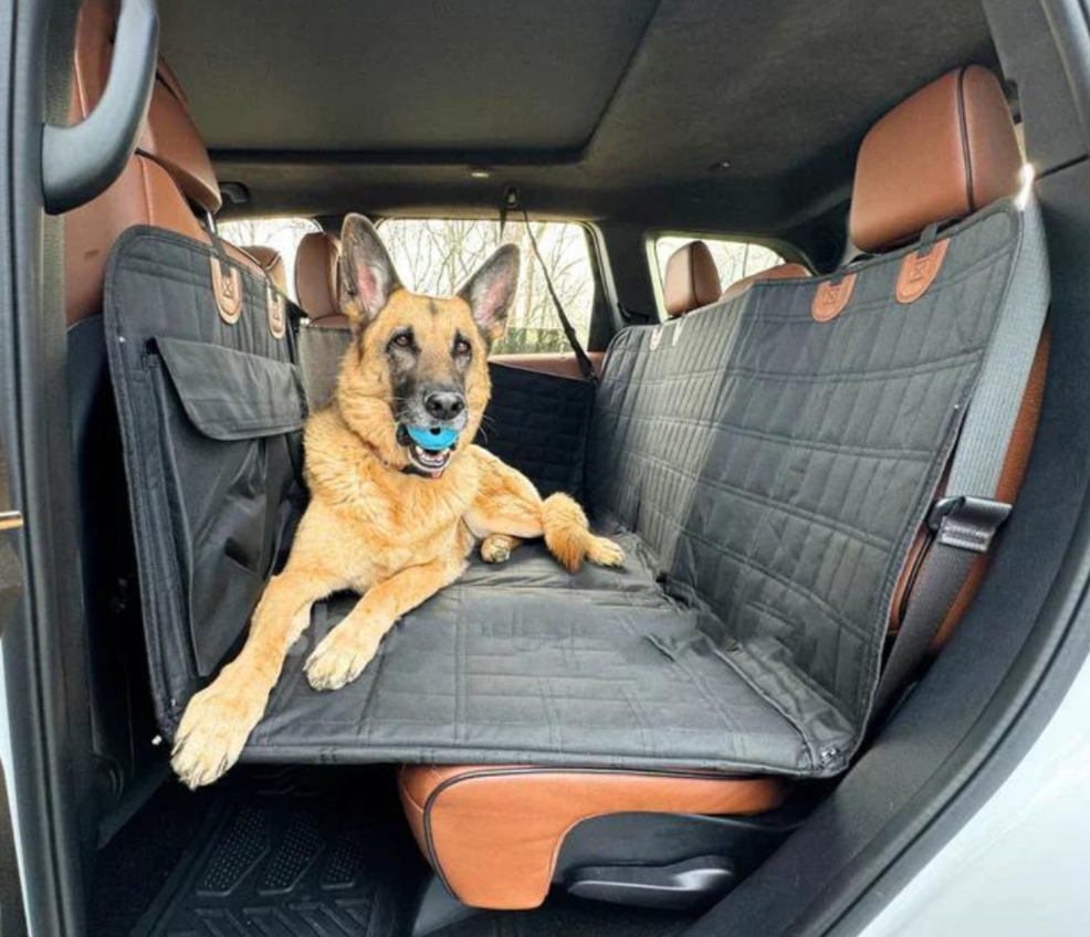 Water-Resistant Dog Car Seat Cover | Back Seat Mat for Pets