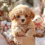 Realistic Touch-Responsive Plush Dog for Children
