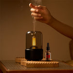 Essential Oil Diffuser and Humidifier with LED Light for Aromatherapy
