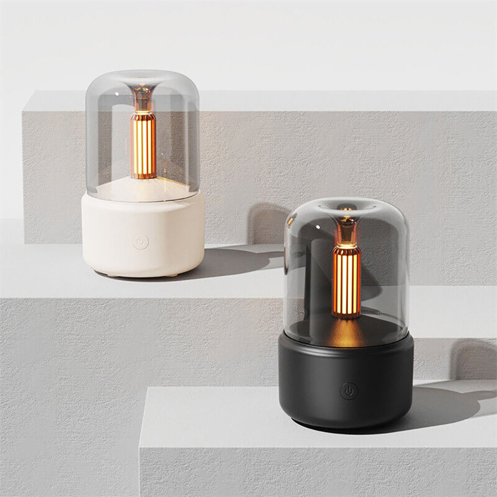Essential Oil Diffuser and Humidifier with LED Light for Aromatherapy
