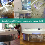 Silent Insect Trap | Chemical-Free Fly Trap with Bait