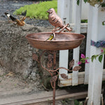 Decorative Garden Bird Bath with Sturdy Spike
