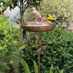 Decorative Garden Bird Bath with Sturdy Spike