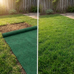 Organic Lawn Seed Mat – Easy to Use: Just Unroll, Water, and Watch It Grow (Pack of 2)