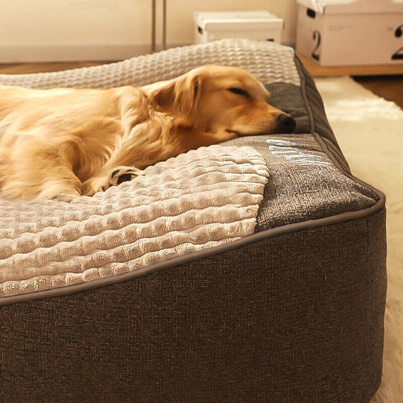 Thick Scratch-Resistant Spine Protection Dog Bed