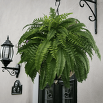 UV-Resistant Outdoor Greenery