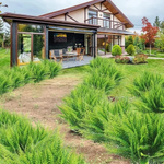 UV-Resistant Outdoor Greenery