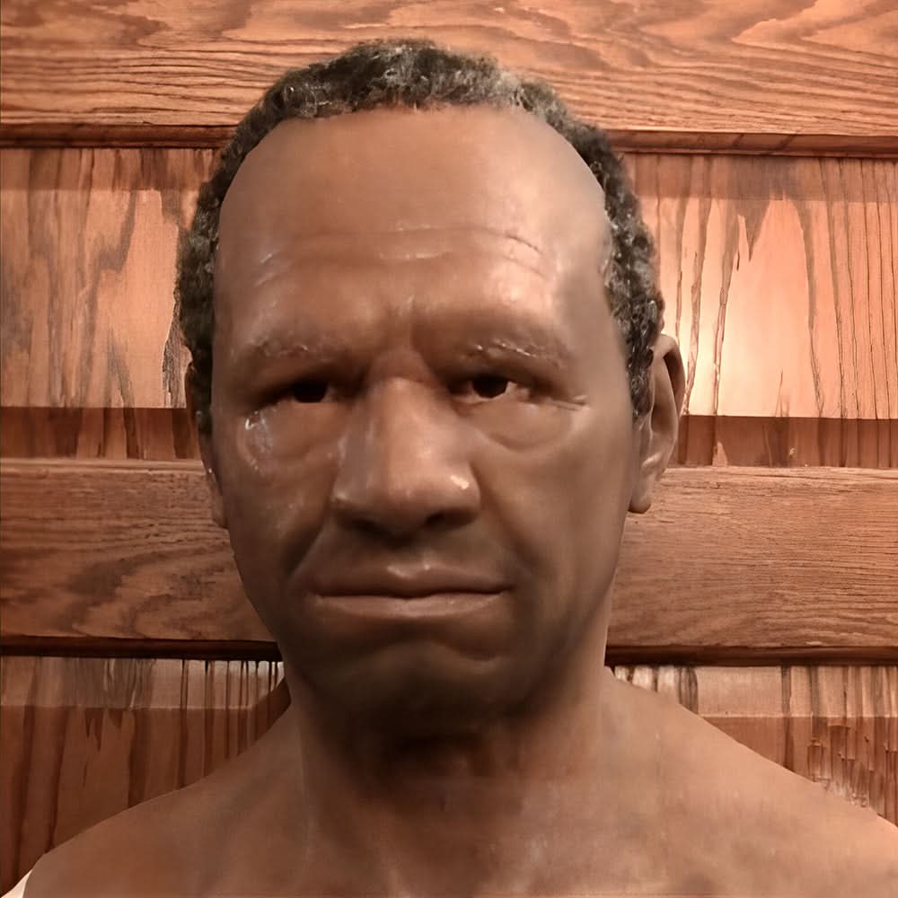 Realistic and Elastic Halloween Latex Mask for Adults