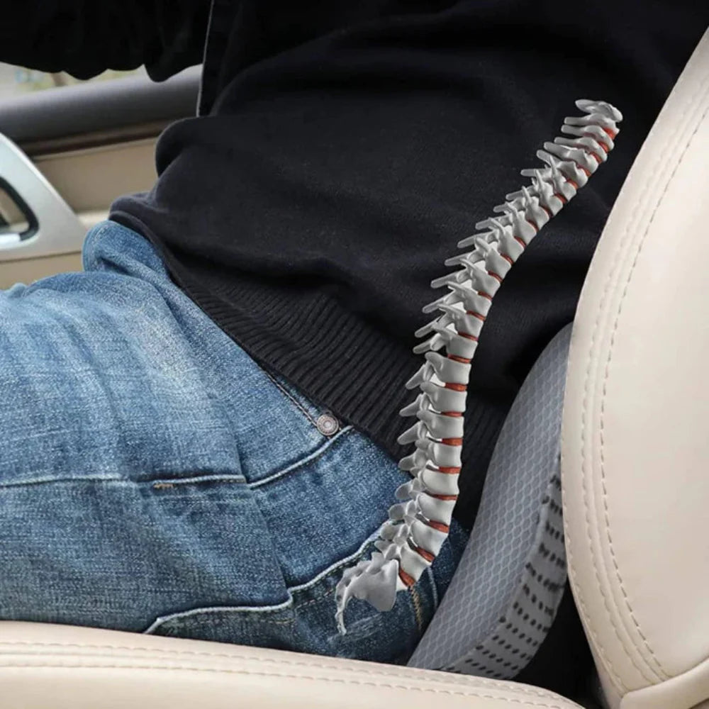 Driver Height-Enhancing Car Seat Cushion