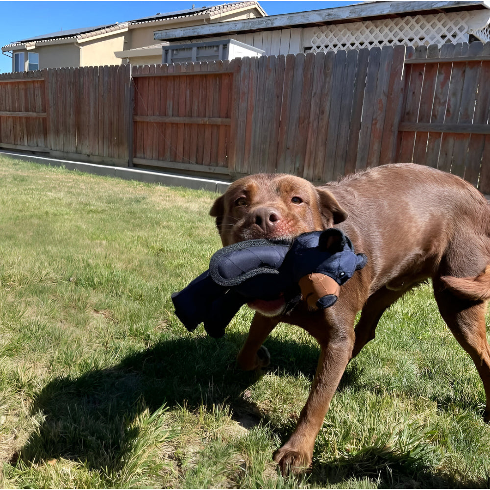 Sturdy Plush Chew Toy for Large Dogs