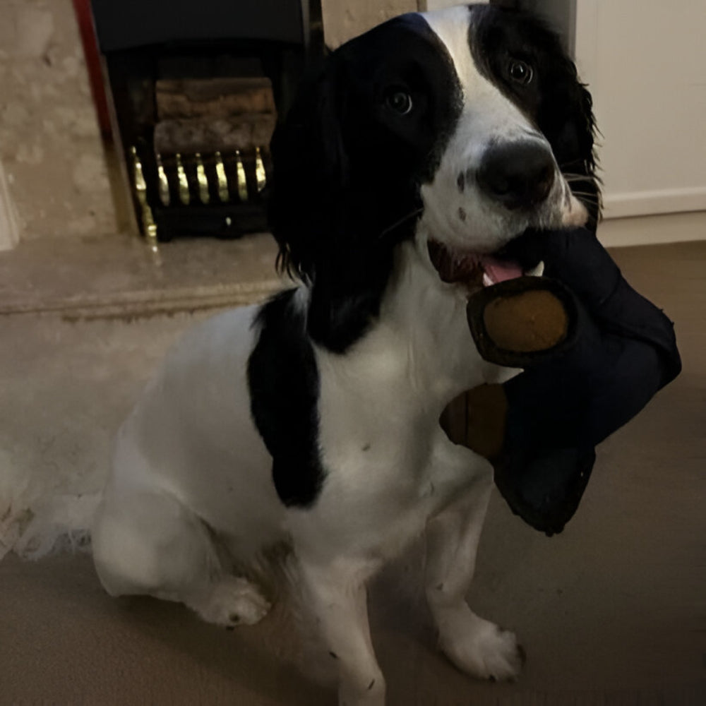 Sturdy Plush Chew Toy for Large Dogs