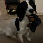 Sturdy Plush Chew Toy for Large Dogs