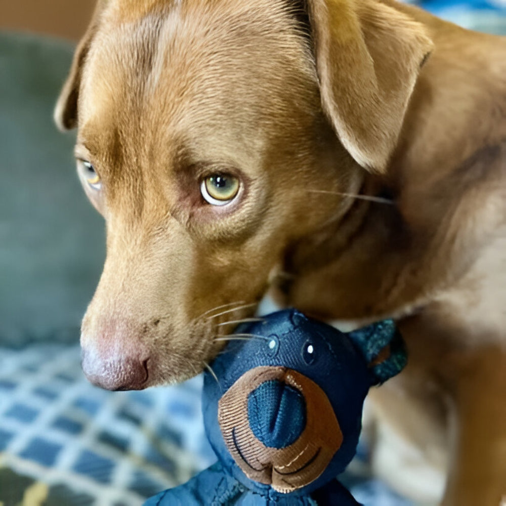 Heavy-Duty Plush Dog Chew Toy - Designed for Large Breeds