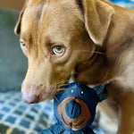 Heavy-Duty Plush Dog Chew Toy - Designed for Large Breeds
