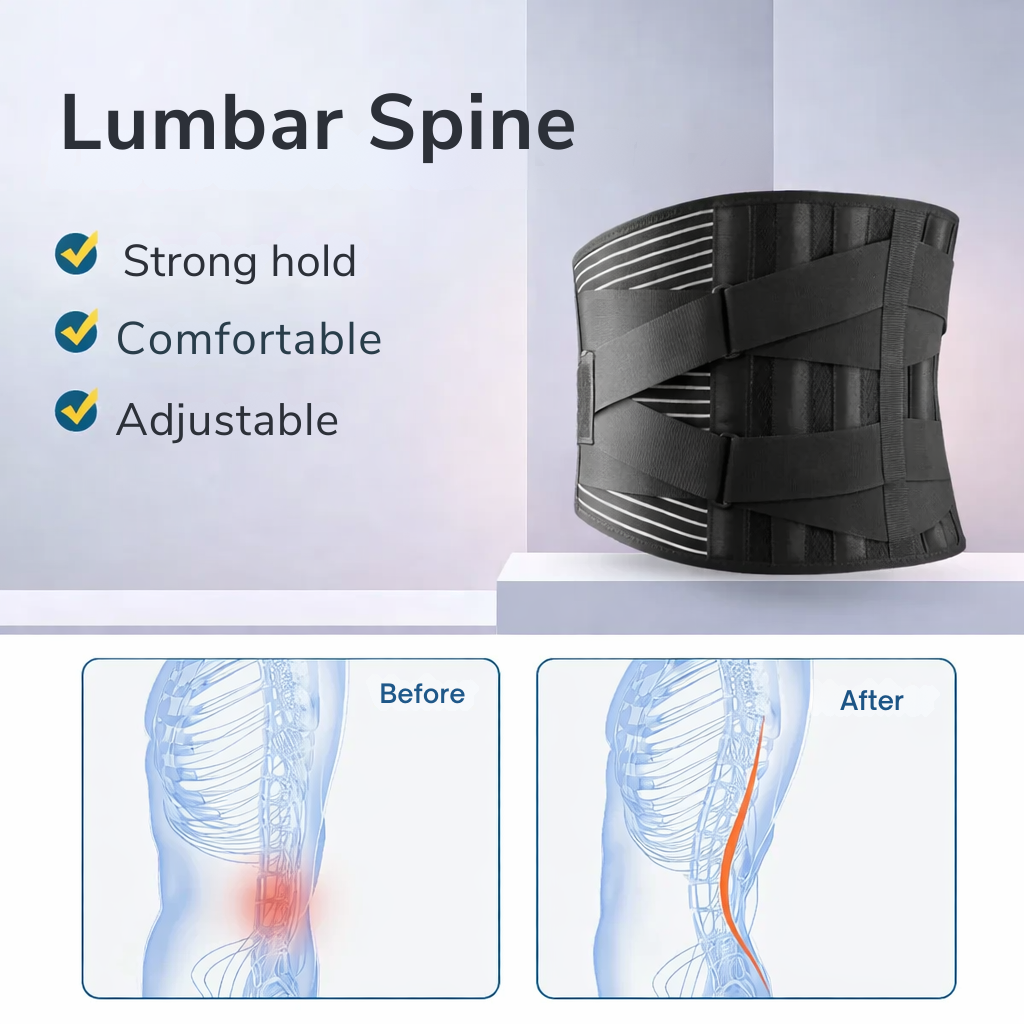 Back Support | Lumbar Support Belt | 360-Degree Stabilization
