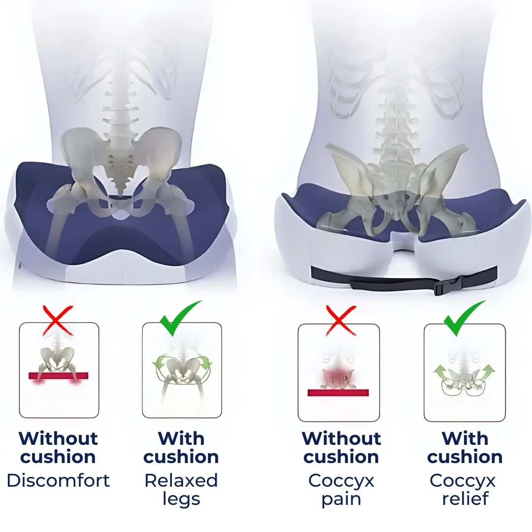 Adjustable Memory Foam Seat Cushion for Coccyx Relief | Tailbone Pain Support and Posture Aid for Office Chairs