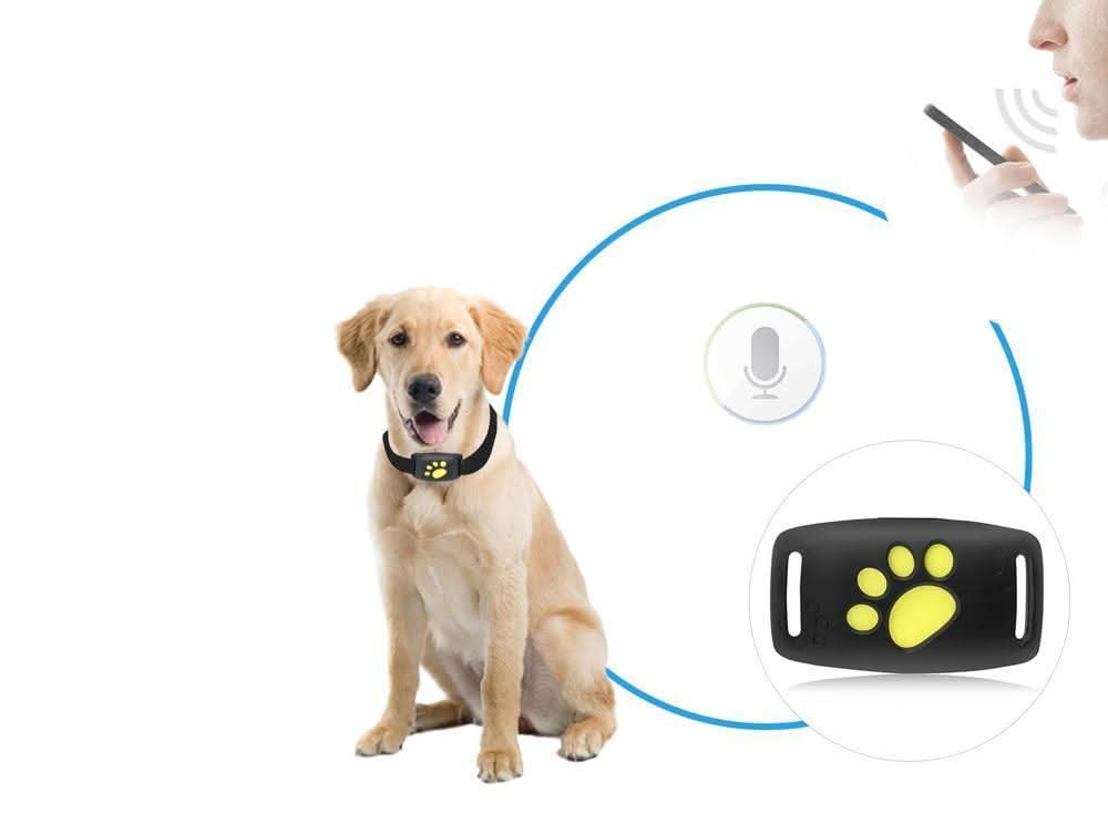 GPS Cat Tracker Collar for Real-Time Location Monitoring and Pet Safety