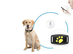 GPS Cat Tracker Collar for Real-Time Location Monitoring and Pet Safety