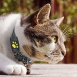 GPS Cat Tracker Collar for Real-Time Location Monitoring and Pet Safety
