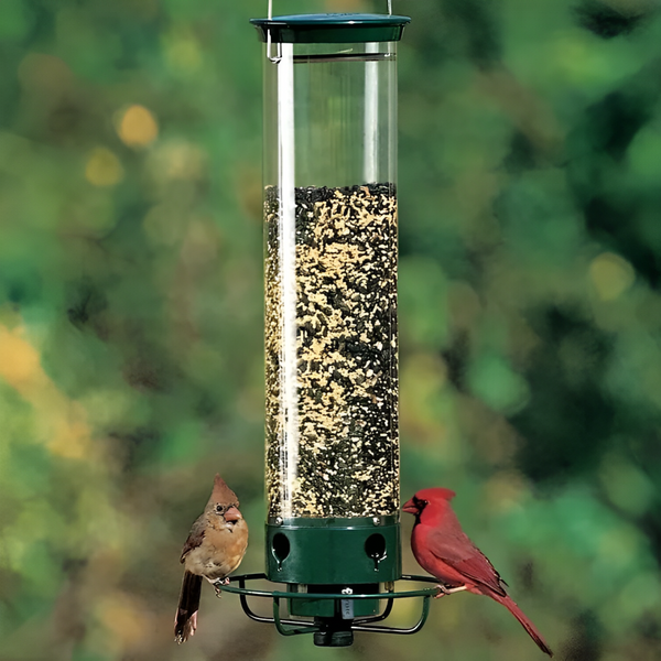 Squirrel-Proof Bird Feeder for Effortless Backyard Birdwatching