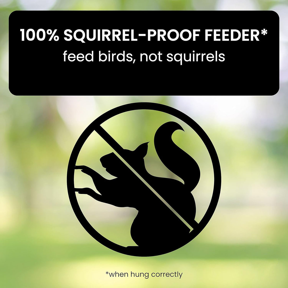 Squirrel-Proof Bird Feeder for Effortless Backyard Birdwatching
