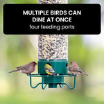 Squirrel-Proof Bird Feeder for Effortless Backyard Birdwatching