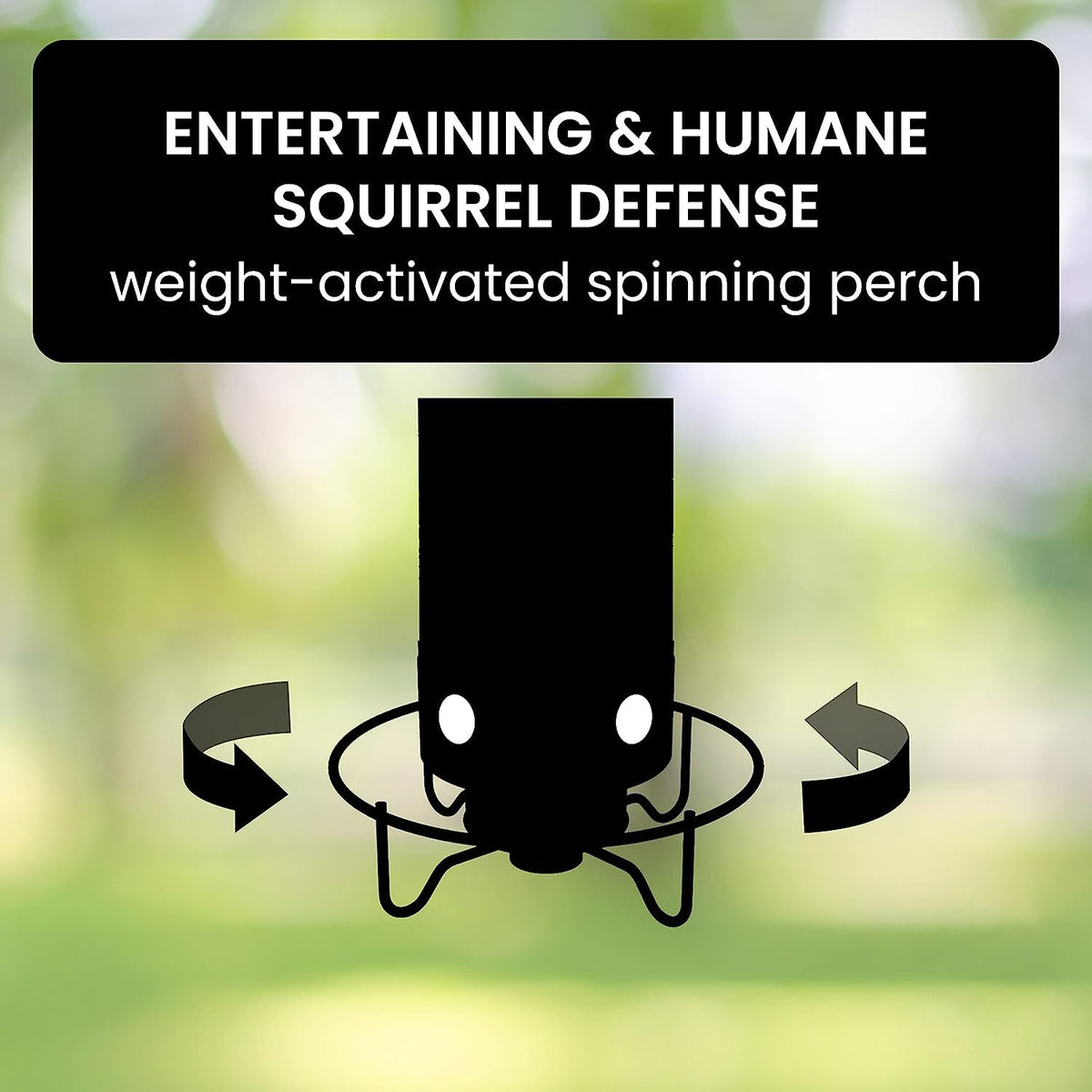 Squirrel-Proof Bird Feeder for Effortless Backyard Birdwatching