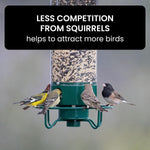 Squirrel-Proof Bird Feeder for Effortless Backyard Birdwatching