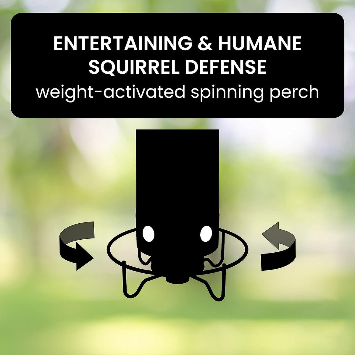 Squirrel-Proof Bird Feeder for Effortless Backyard Birdwatching