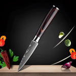 Premium High-Carbon Damascus Steel Chef Knife Set with Wood Handle