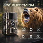 Night Vision Wildlife Camera with Motion Detection | Weatherproof Design | Forest Guardian