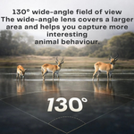 Night Vision Wildlife Camera with Motion Detection | Weatherproof Design | Forest Guardian