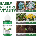 Revitalize Your Plants with Resurrection Liquid! | Buy 1 Get 1 FREE