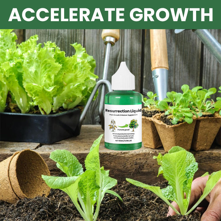 Revitalize Your Plants with Resurrection Liquid! | Buy 1 Get 1 FREE