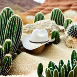 Cowboy Hat - RécifRanch" can be rewritten as "Cowboy Hat - Western Style.