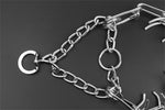 Adjustable Dog Training Collar with Rubberized Prongs