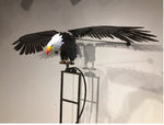 Decorative Metal Bird Wind Generator - Garden Ornament