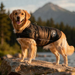 Dog Coat with Built-in Harness | Fleece Jacket