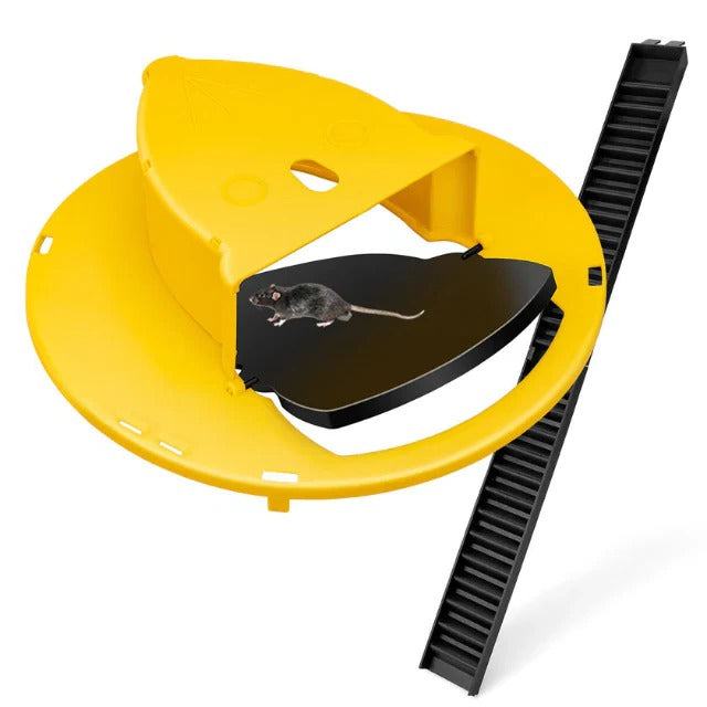 Eco-Friendly Multi-Rodent Capture Bucket Trap