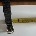 GPS Cat Tracker Collar for Real-Time Location Monitoring and Pet Safety
