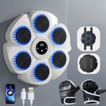 Interactive Smart Boxing Machine - Punch Technology